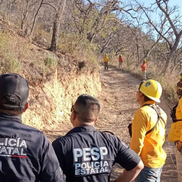 Policía Estatal participa en operativos con unidades de emergencia para combatir incendio forestal en Arivechi